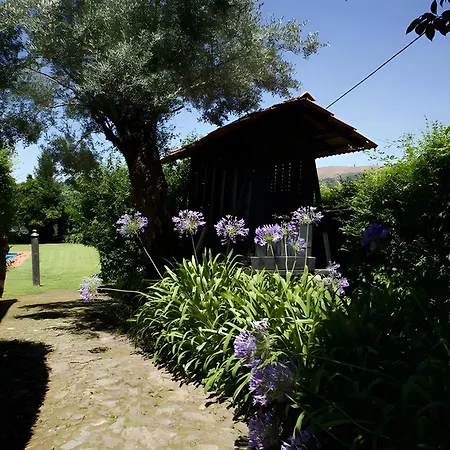 Casa Da Oliveira *